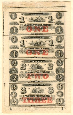 Salmon Falls Bank - Uncut Obsolete Sheet - Broken Bank Notes
